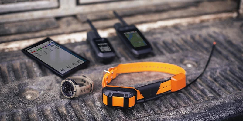 Radiocollari e GPS