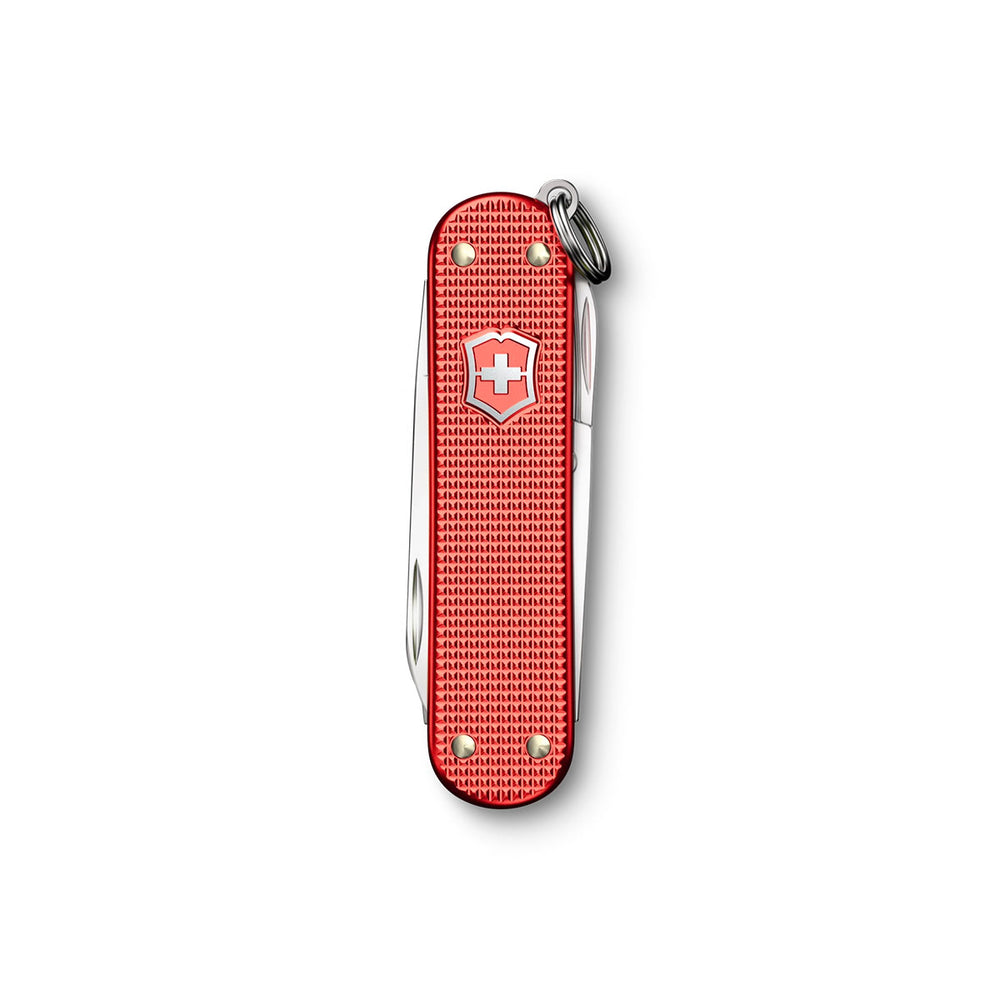 VICTORINOX - CLASSIC SD ALOX LIMITED EDITION 2025