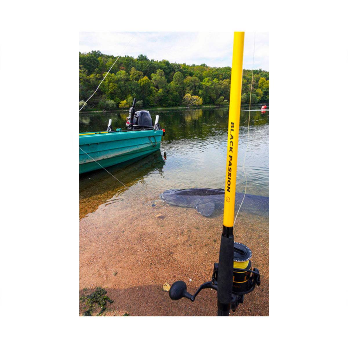 cac81115-0c9f-4a0d-aacf-2ef2af887a8e