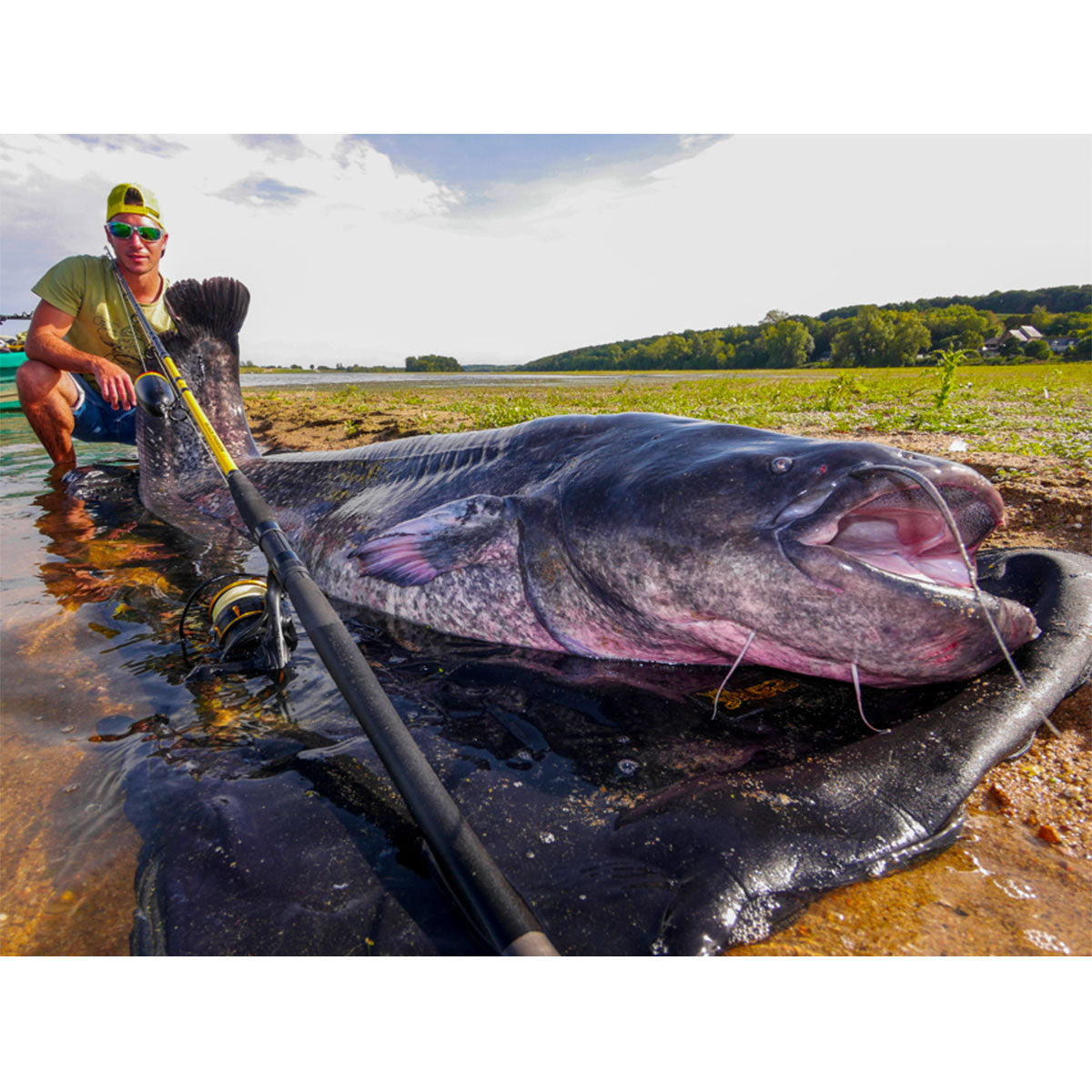 c29635e7-8fd8-4006-b20b-8578f6483207