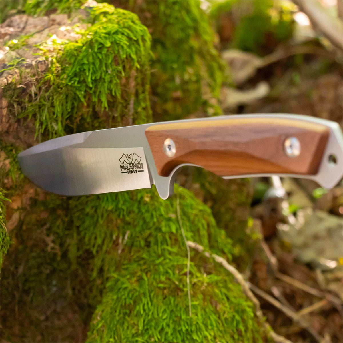 COLTELLO - BUSHCRAFT "CORTEL" Classic F