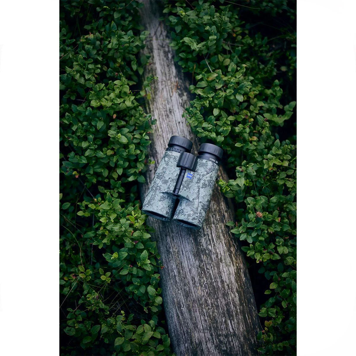 0de1c47e-40ac-47b7-be26-6c552c80dad4