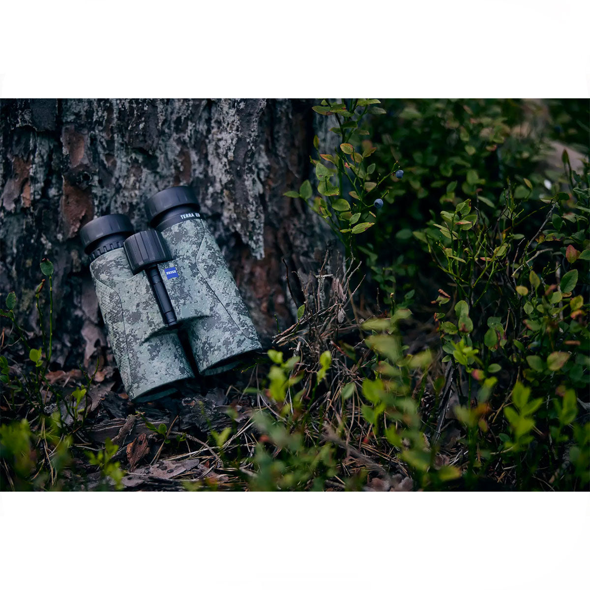 5aea6a7f-abab-46f6-a474-ef30d504dcfc