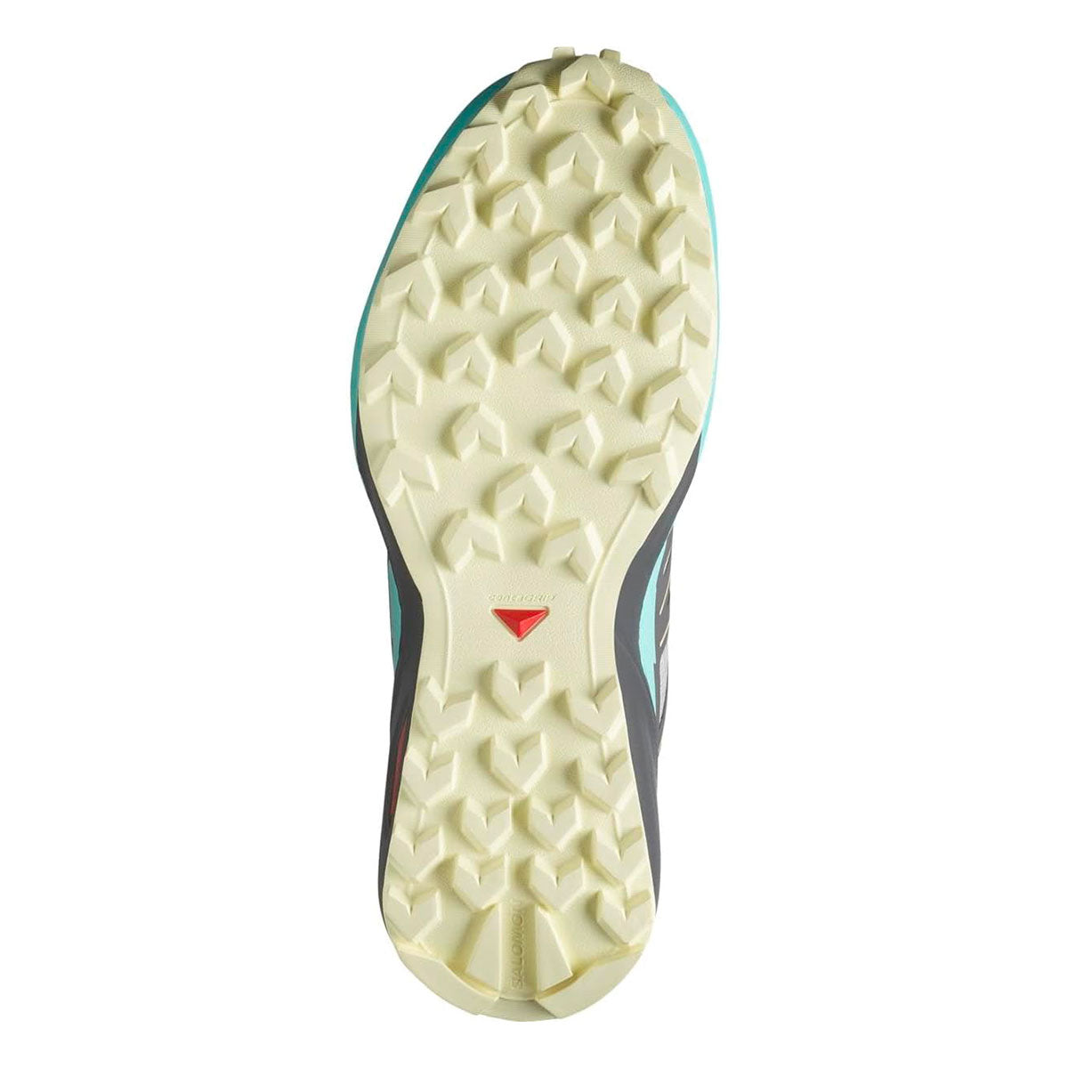 SALOMON - DONNA - SPEEDCROSS PEAK W Icicle / Castlerock / Aruba Blue