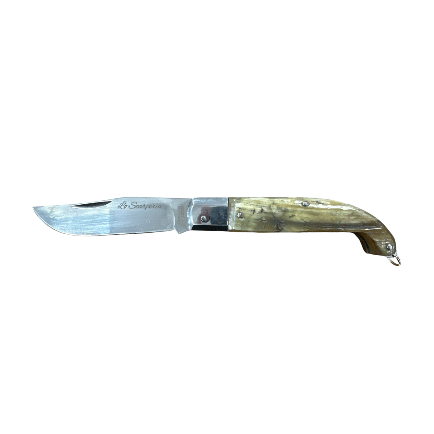 KNIFE - LO SCARPERIA RAW HORN T.STAINLESS STEEL 20cm
