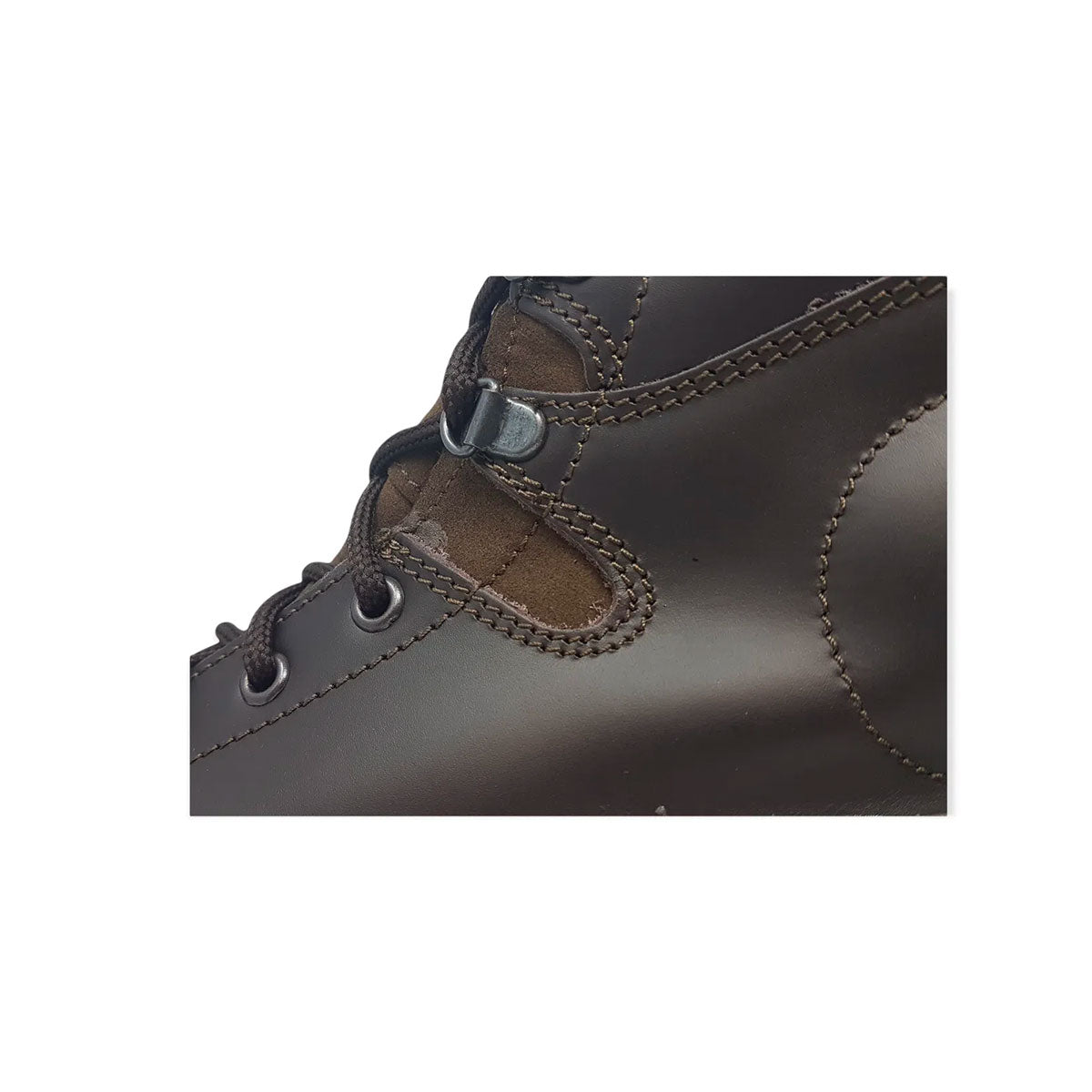 2d3ed074-d68c-4ae1-bfe3-fa9ab8ee7e46