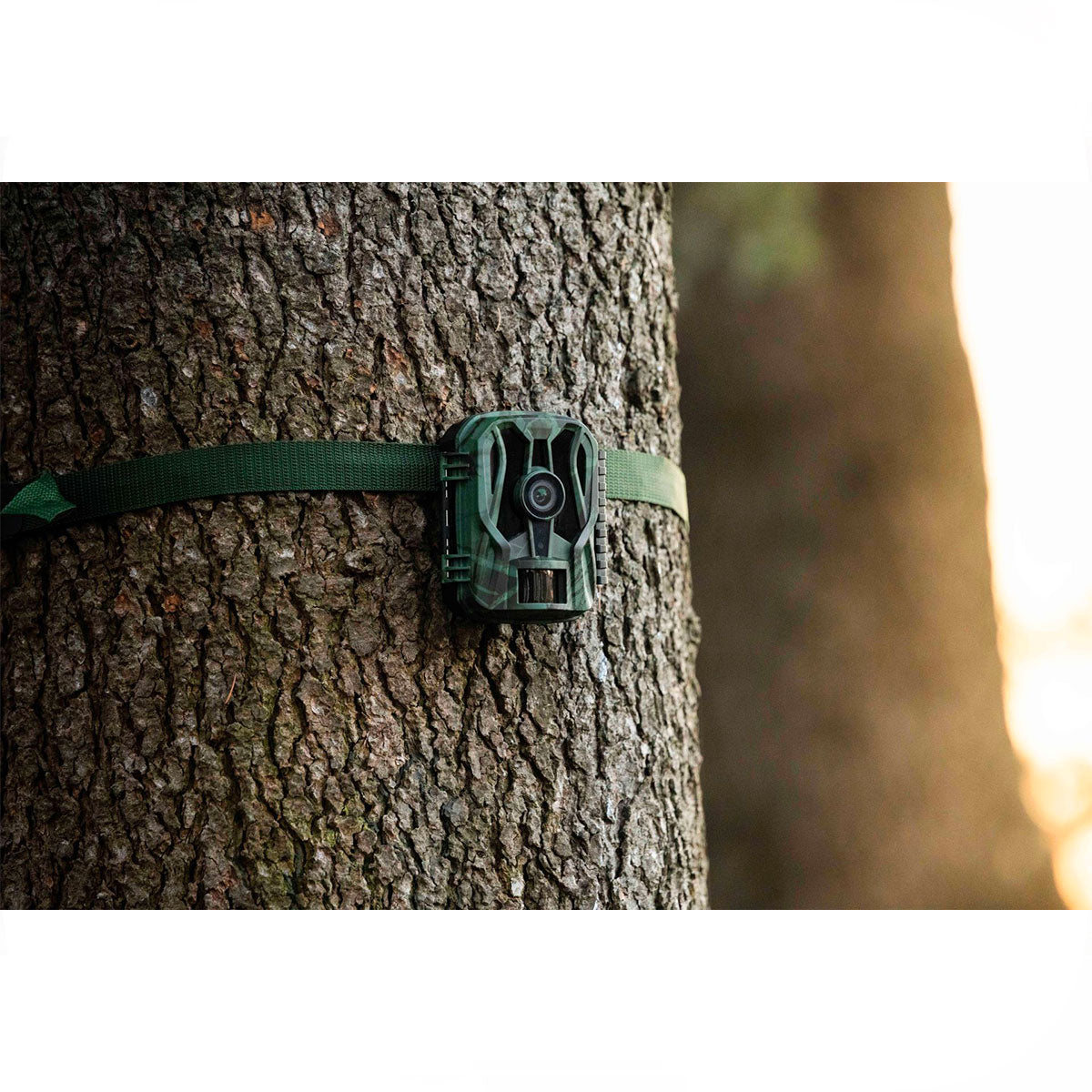 62e652e1-8425-4c57-9ed3-2ce63074608f