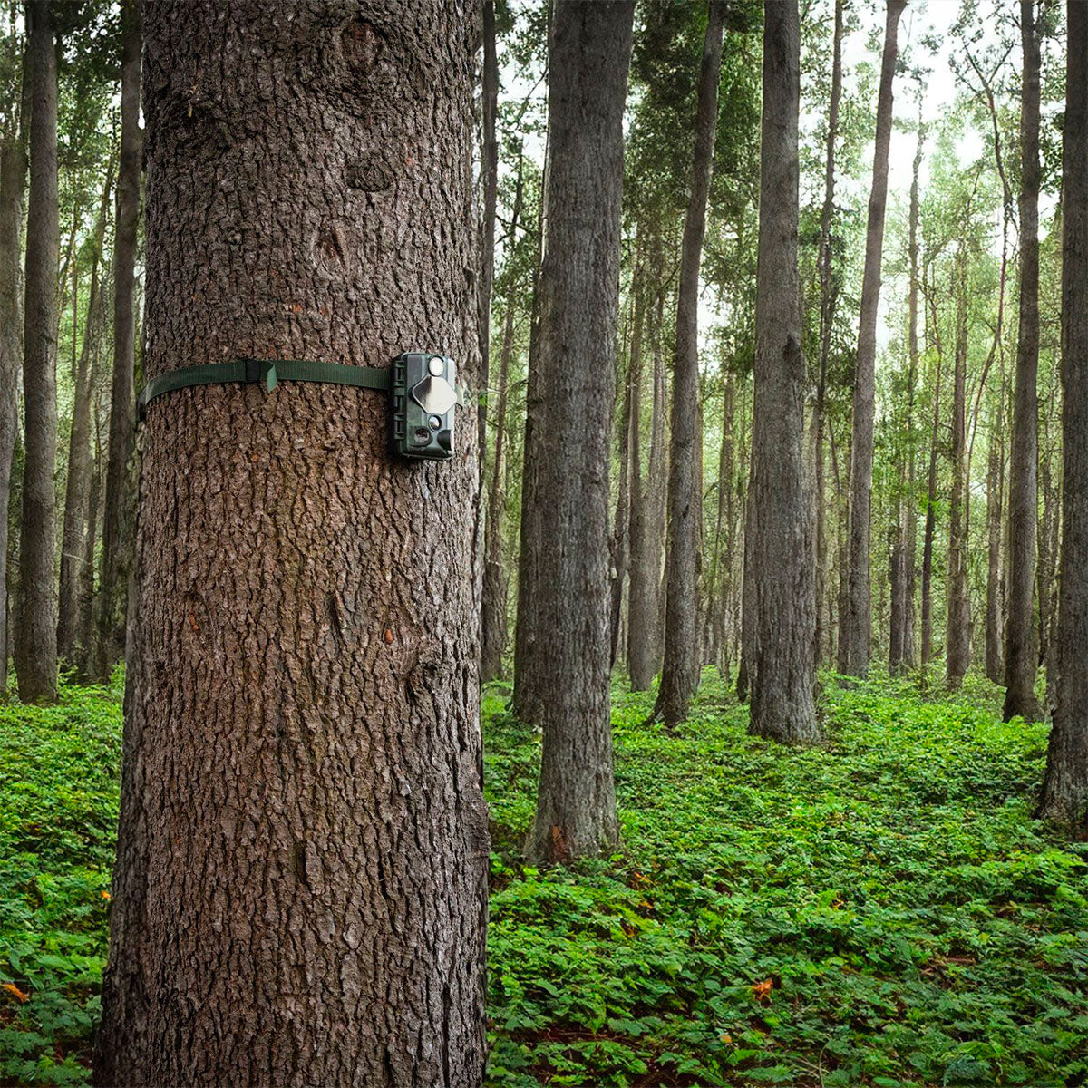 8f65a6aa-915e-4dd6-b7c8-90526bbbcbb9