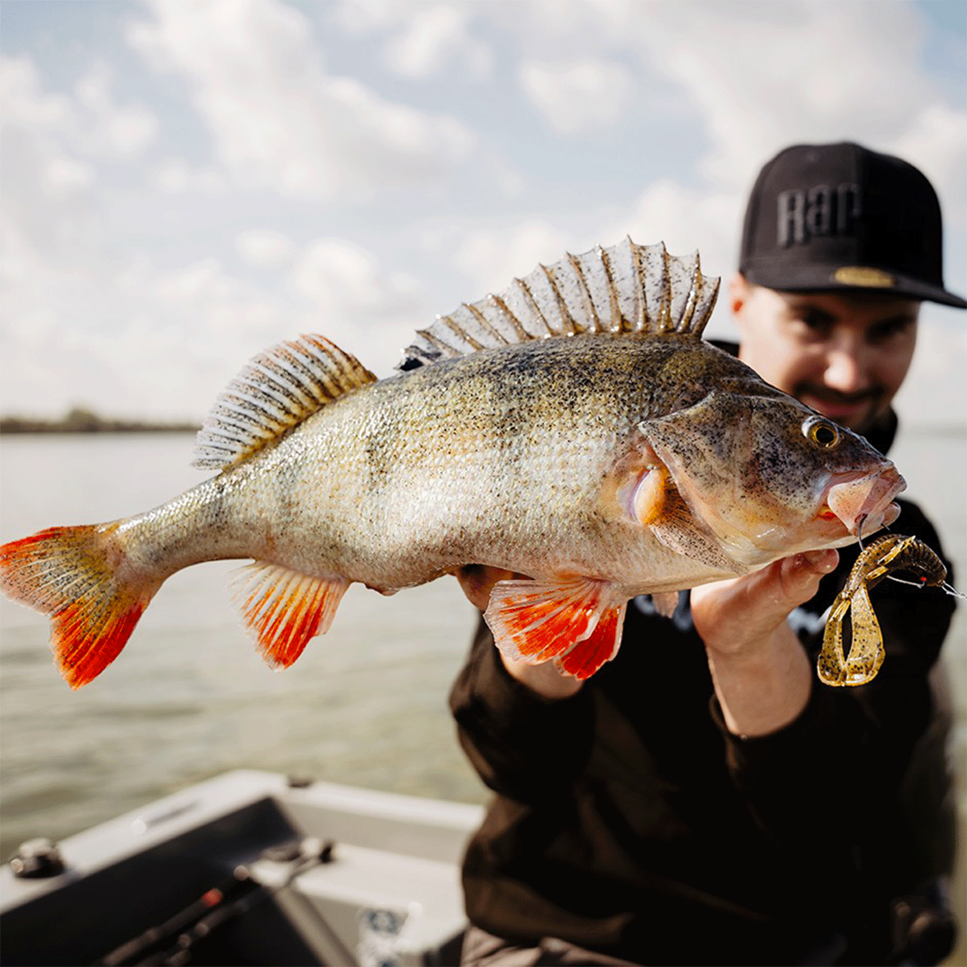 RAPALA - CRUSHCITY™ CUSTOMS "CLEANUP CRAW™" 3.5"/8.8cm | 7 pcs | California Craw