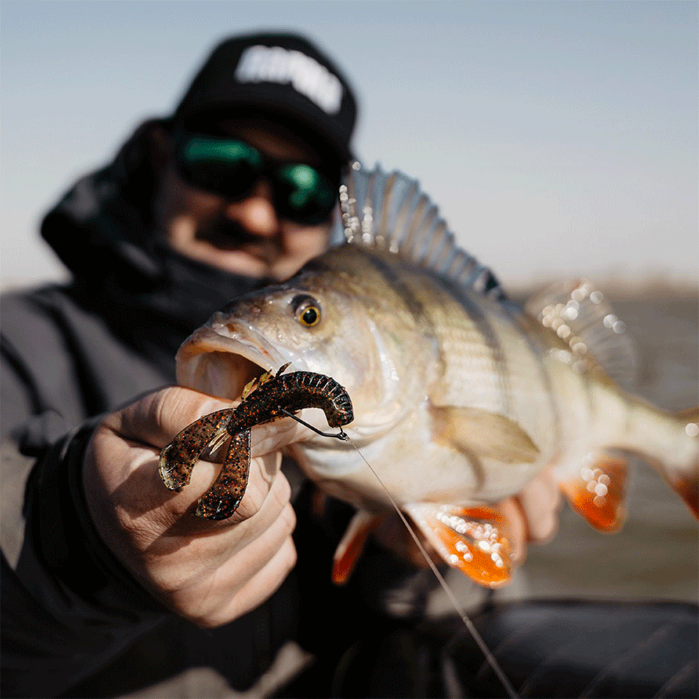 RAPALA - CRUSHCITY™ CUSTOMS "CLEANUP CRAW™" 3.5"/8.8cm | 7 pcs | California Craw