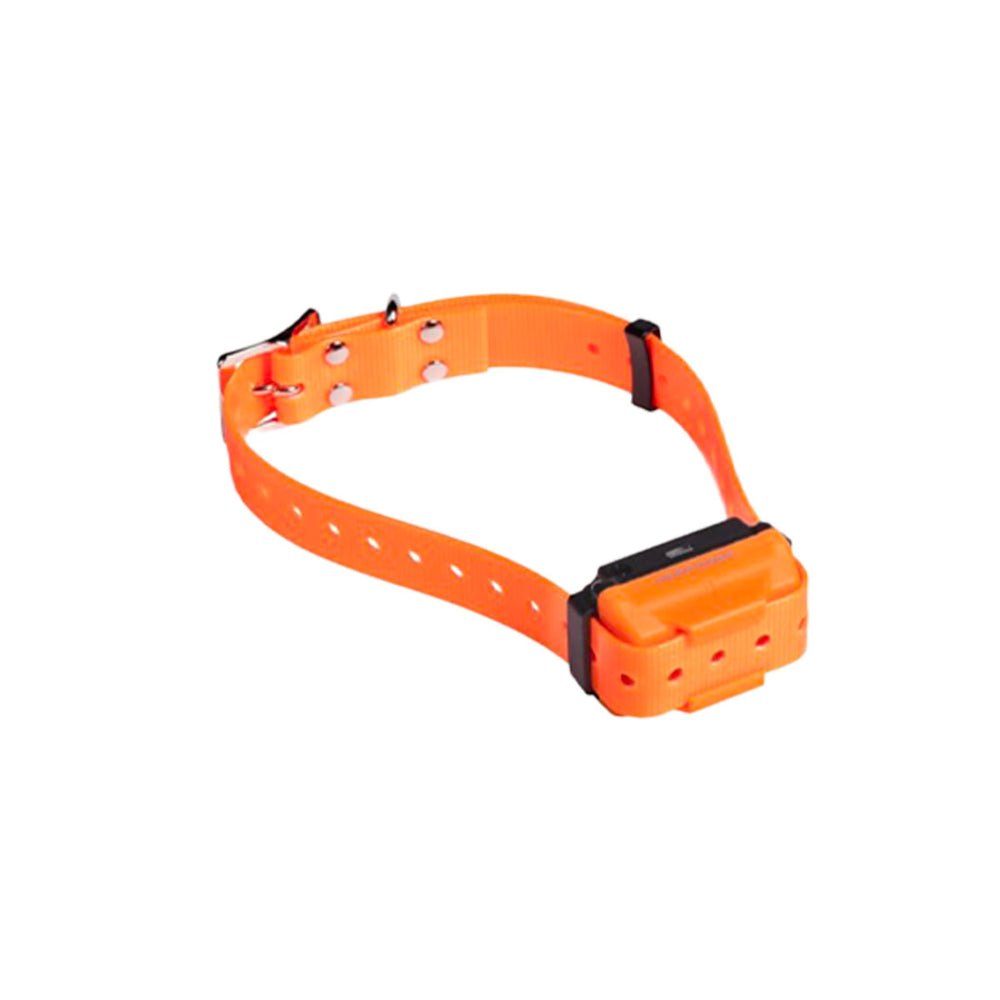 NUM'AXES - ADDITIONAL COLLAR R