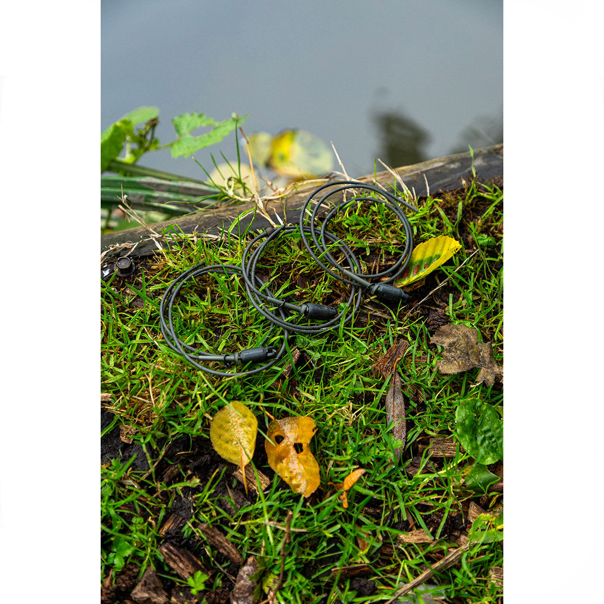 d8b53cd4-97d3-44f4-98b1-680d987b2017