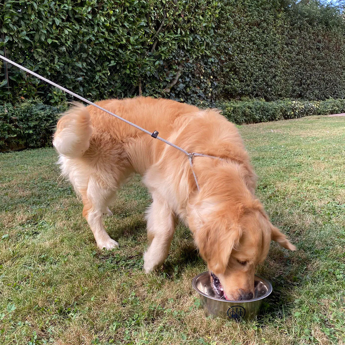 59b4443b-33b8-44d2-9c41-2392e2ec98cf