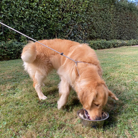 59b4443b-33b8-44d2-9c41-2392e2ec98cf