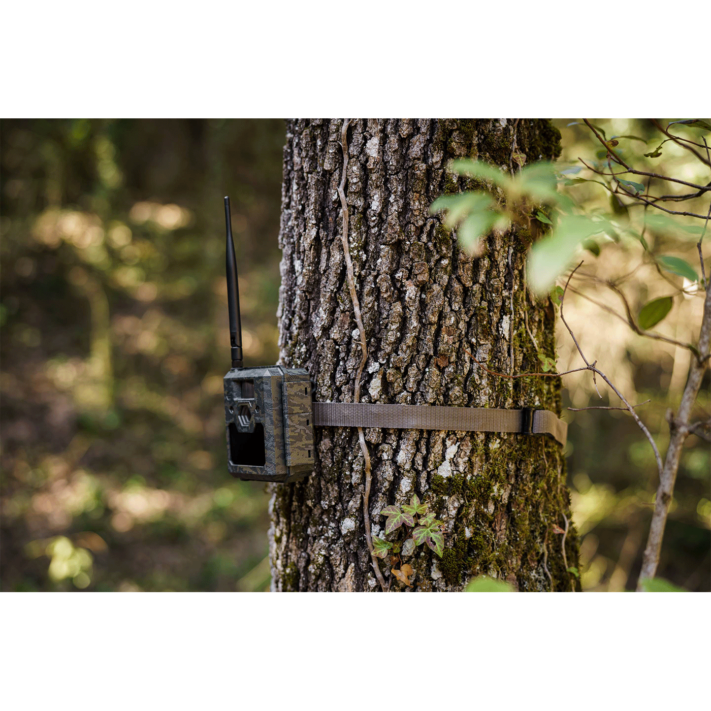 CAMERA TRAP - ICU CLOM CAM5 - 4G/LTE - Batteries and SD included