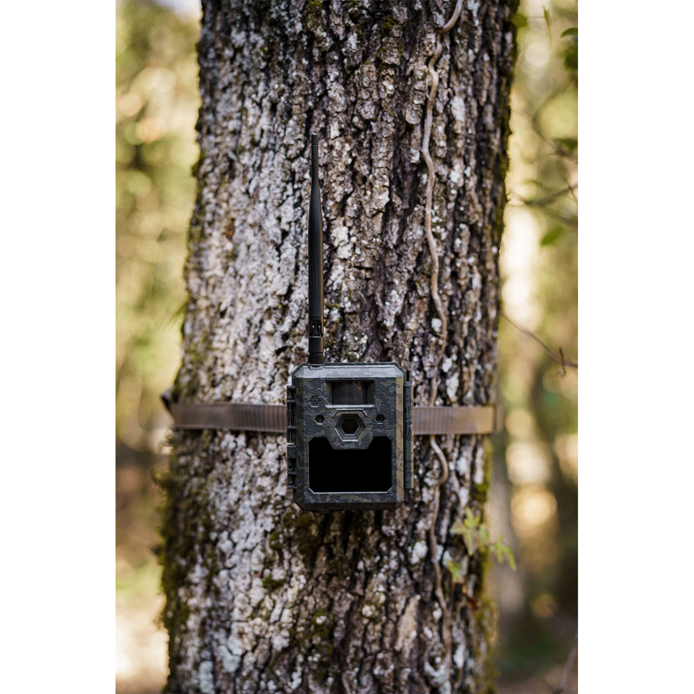 CAMERA TRAP - ICU CLOM CAM5 - 4G/LTE - Batteries and SD included