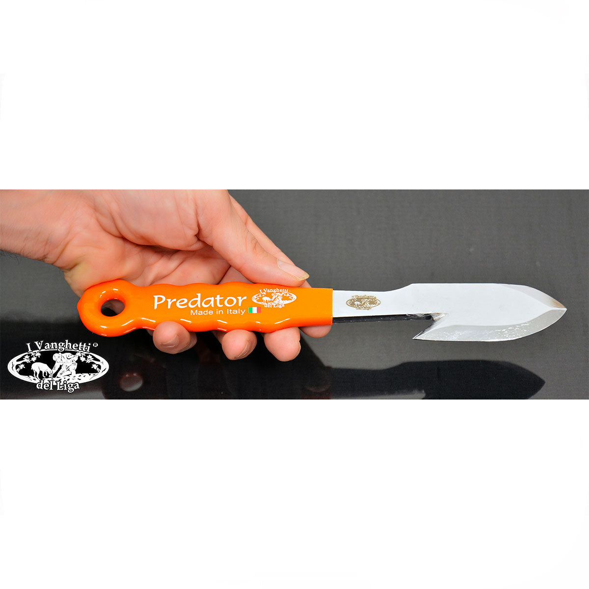 170ec05d-1bce-4947-9e27-bb8d442f62ce