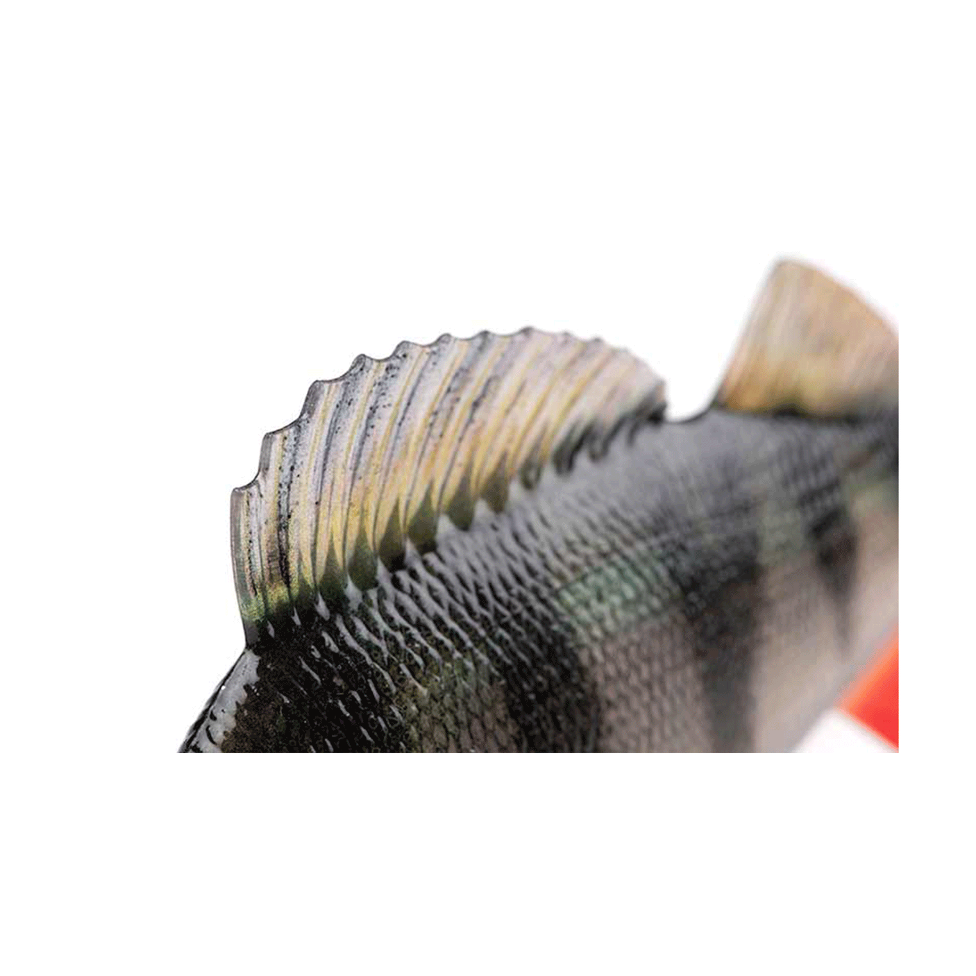 FOX RAGE - ULTRA NATURALS REPLICANT PERCH 10cm | 19g | Hook Size 6