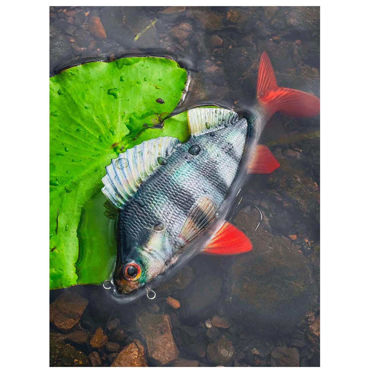 FOX RAGE - ULTRA NATURALS REPLICANT PERCH 18cm | 100g | Hook Size 1/0