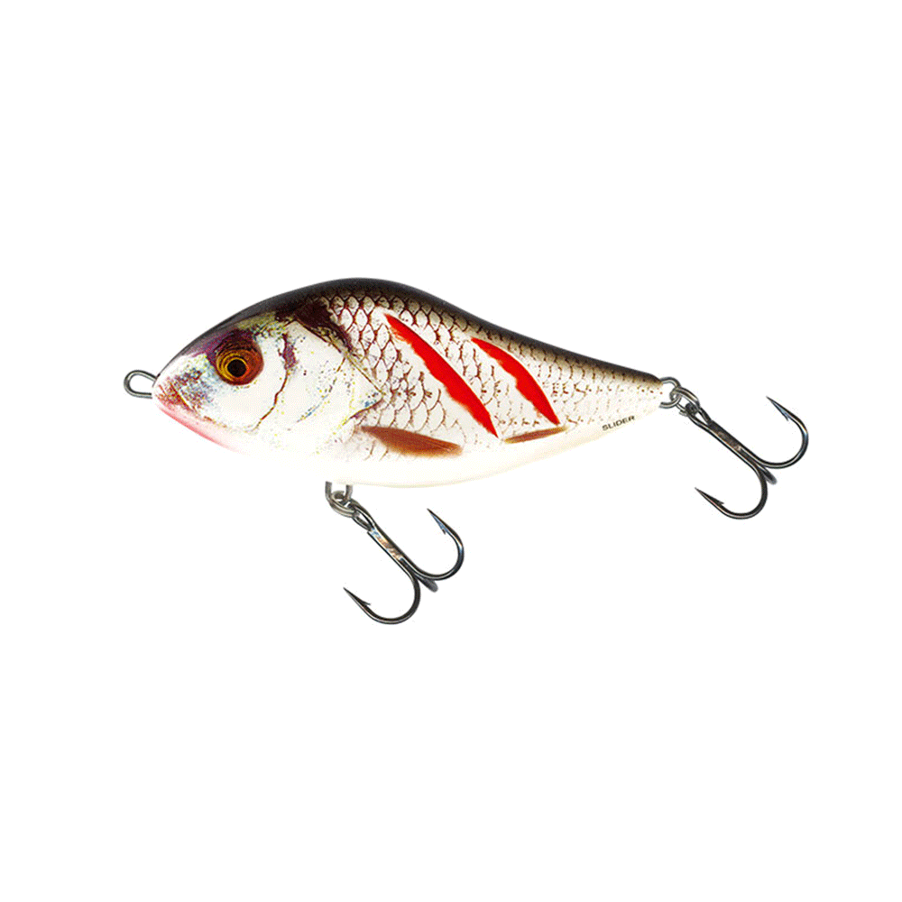 SALMO - SLIDER 12 SINKING 12cm 70g - 4-3/4" 2-1/2oz DIVING DEPTH | Wounder Real Grey Shiner