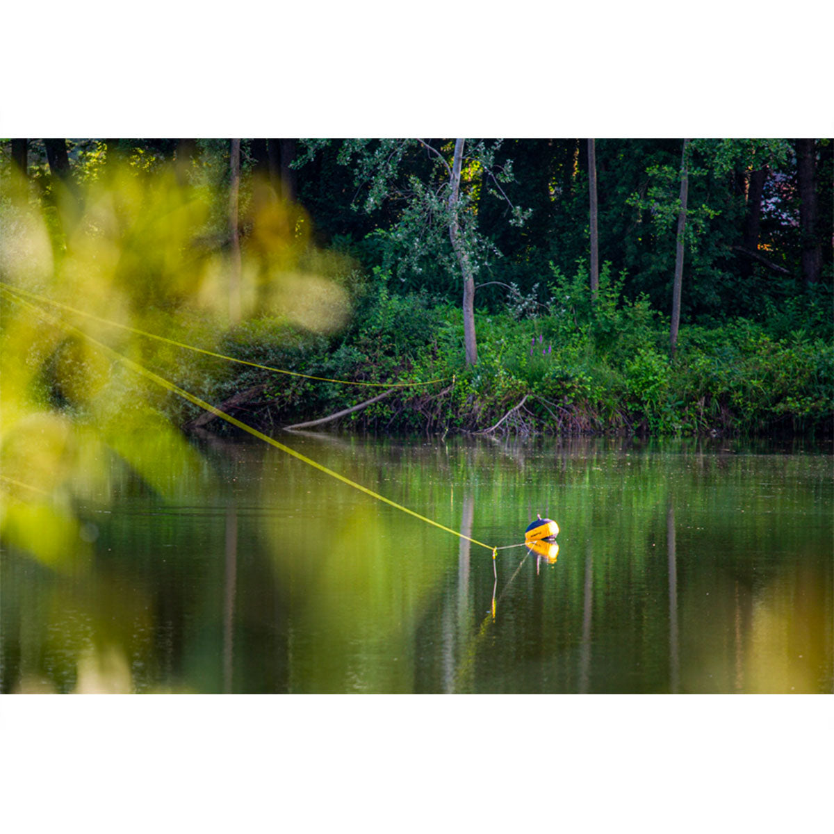 3cc59594-0fee-4cf7-a749-192535395377