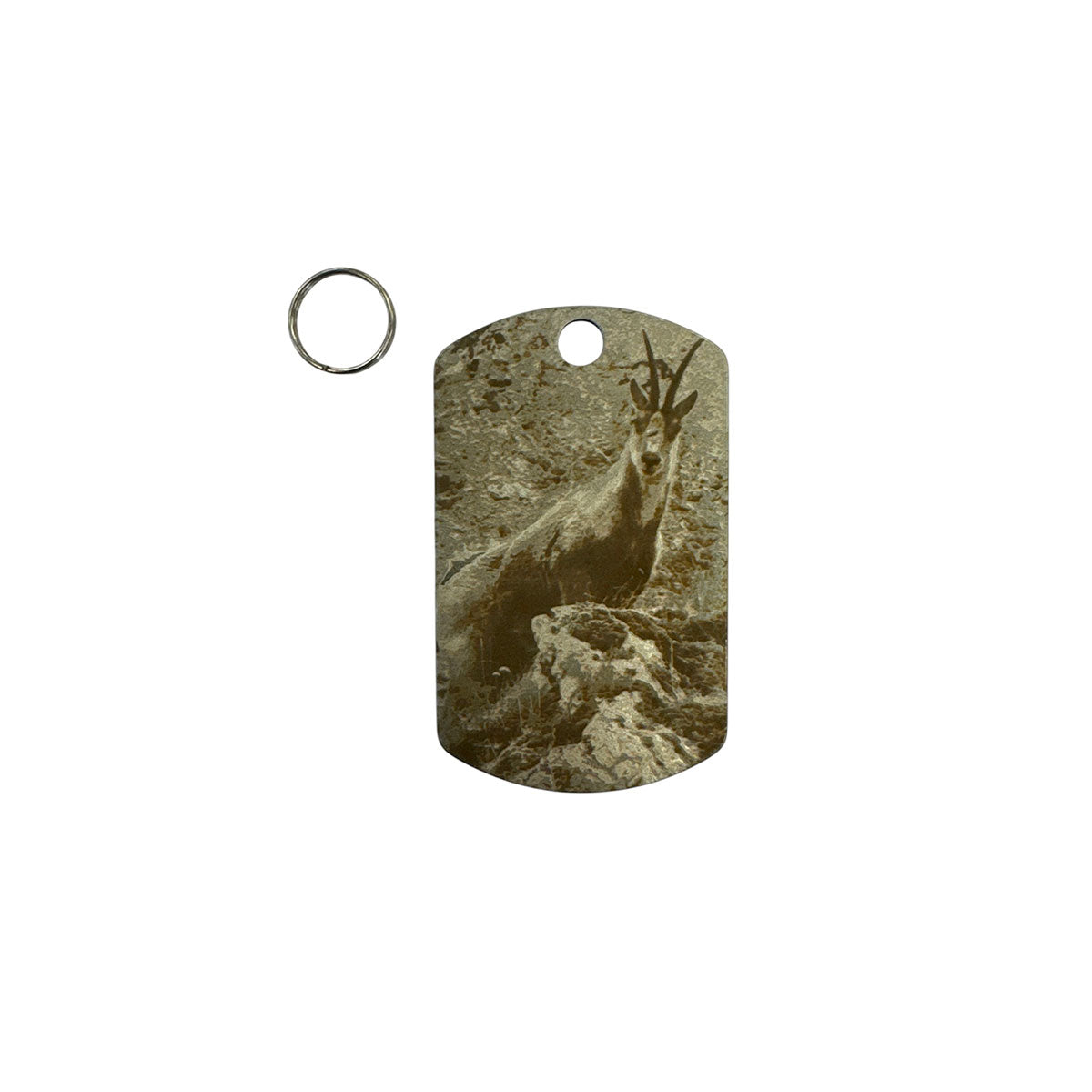 7ba2c8c8-c8d4-4300-a2af-0c7f9c29d6a3