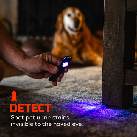 5985b44f-9b98-4958-a276-8c39976ee1dc