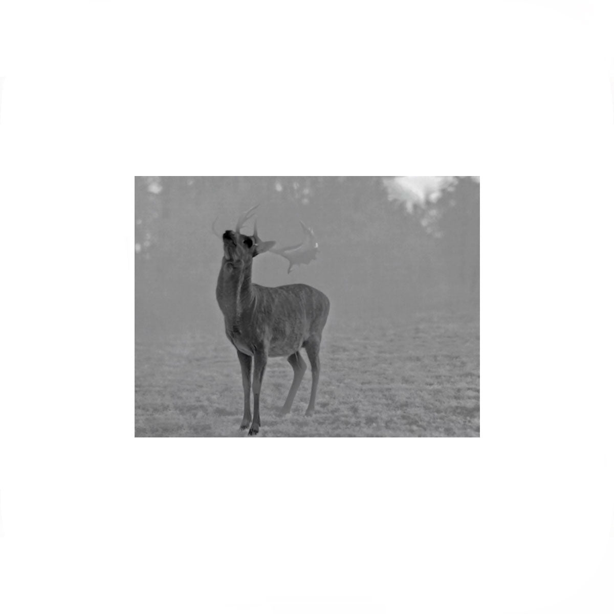 43f47307-8a9e-4fbc-9fce-f1d4bd93e1e7