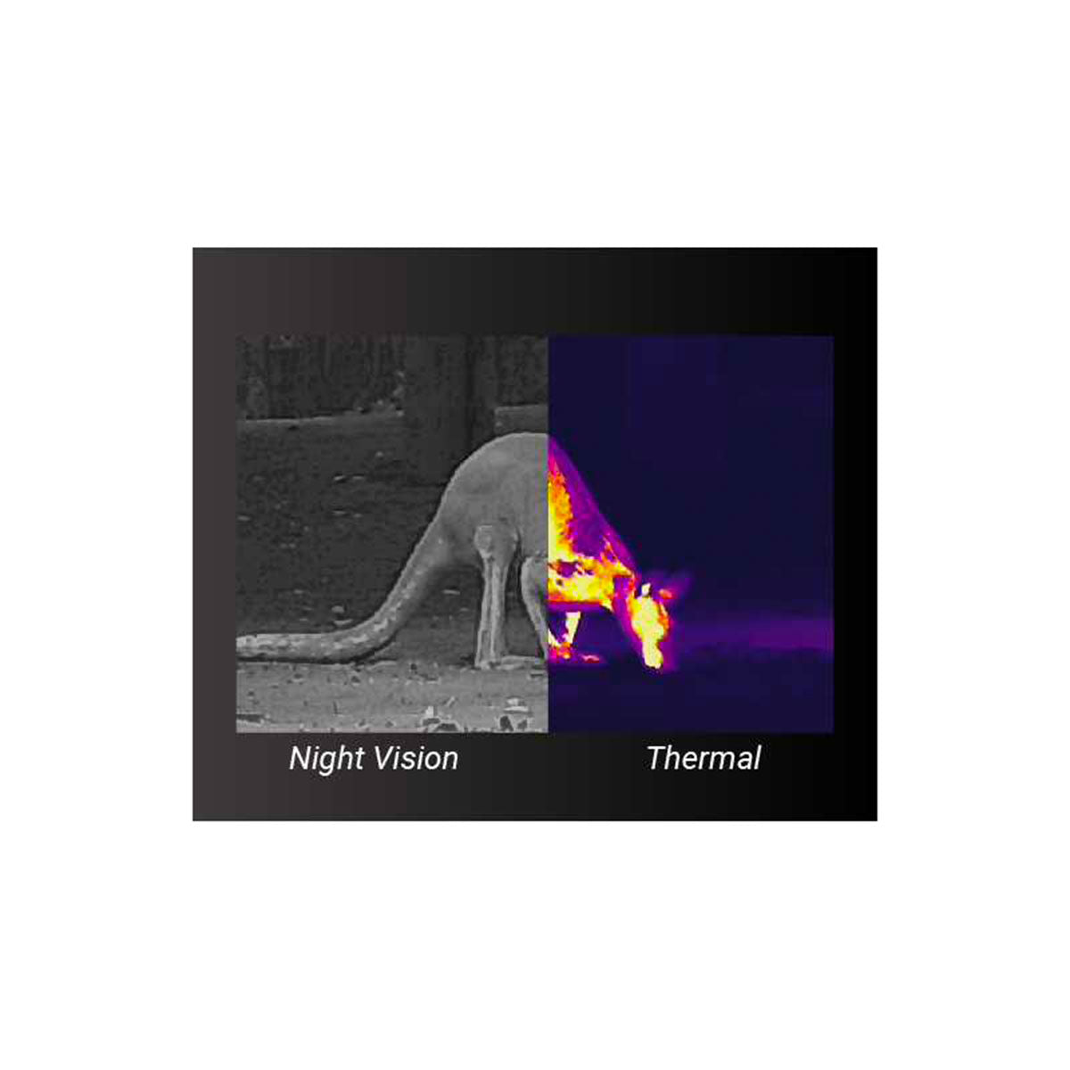 0f38f68a-83ec-43e8-a0e7-817caa4f69a7