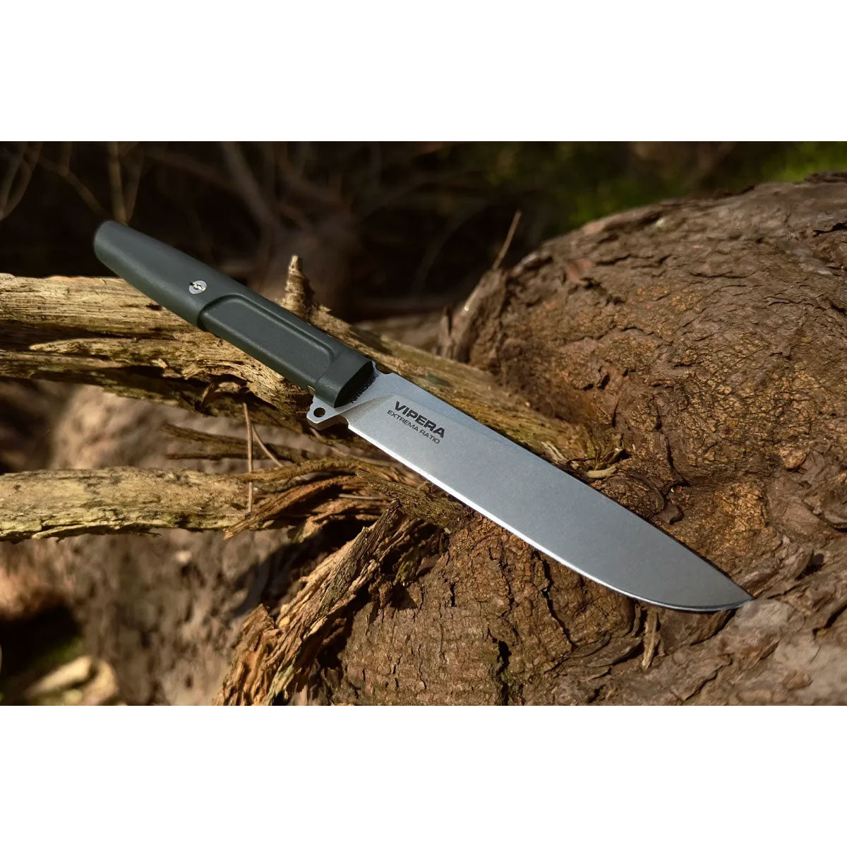 62ea8b3d-dcad-4e90-8546-f80696febf86