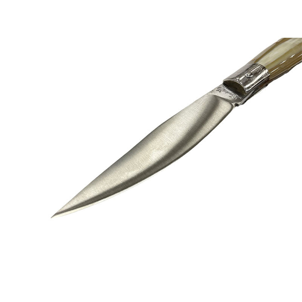 Coltelleria Zanda - Pattada Manico In Corno Di Bue 27Cm