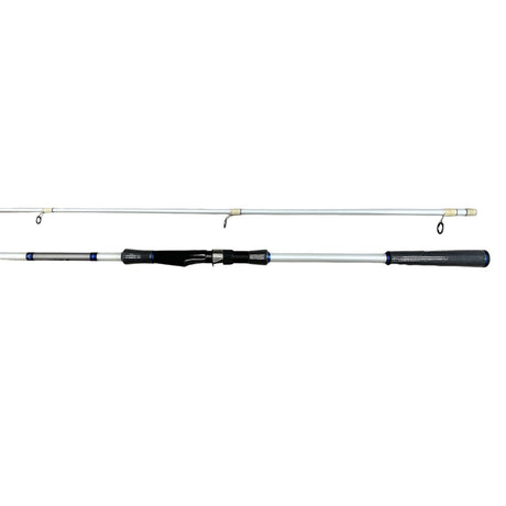 Daiwa - Proteus 902Mhfs 2.7 M / 141 Cm 2 Pz 15-60 Gr