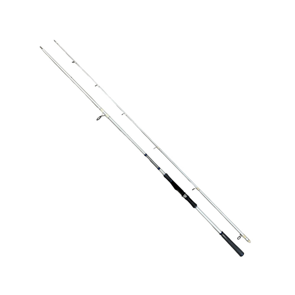 Daiwa - Proteus 962Hfs 2.9 M / 148 Cm 2 Pz 30-80 Gr