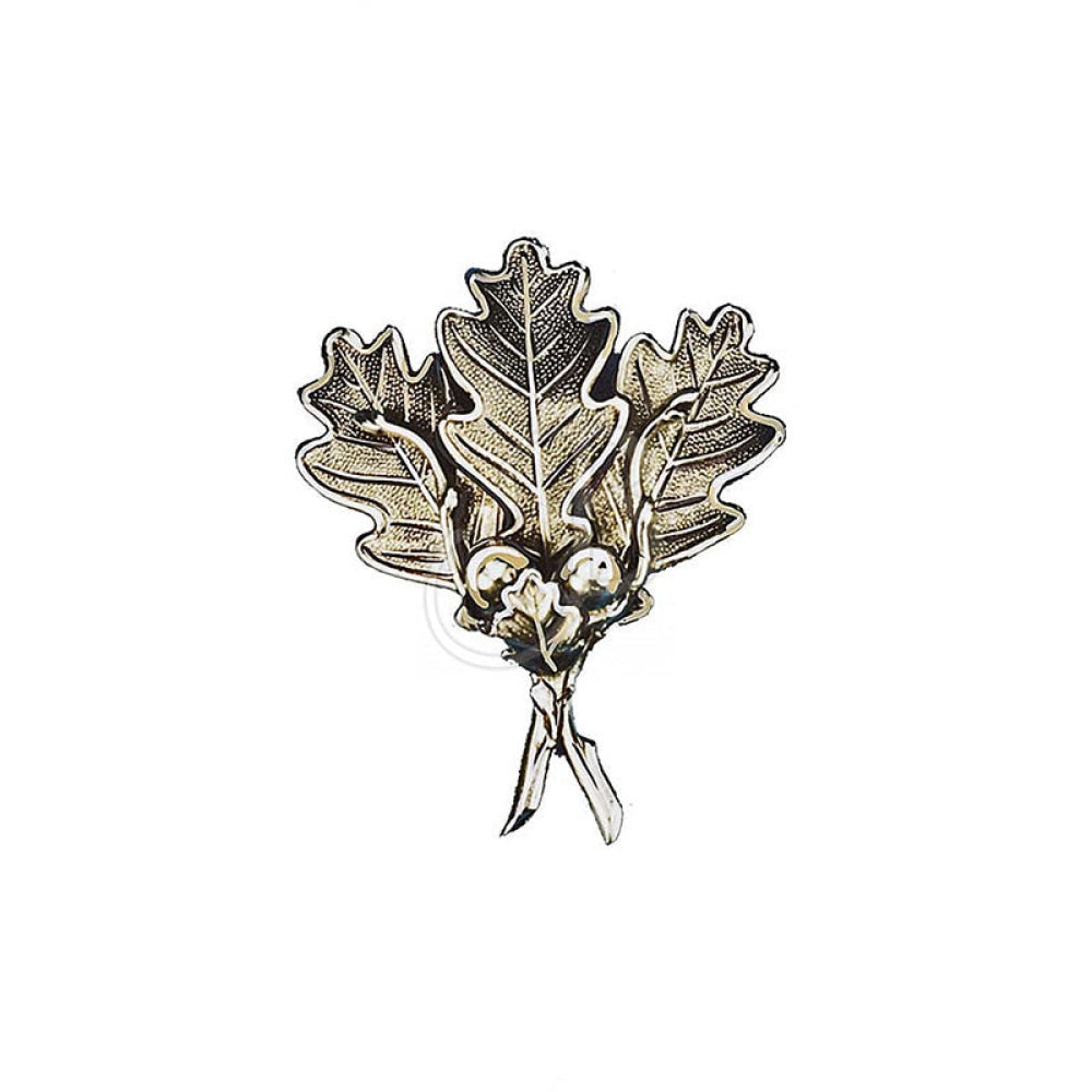 F.c. Fronde Argentate X Zanne Cinghiale 326-2