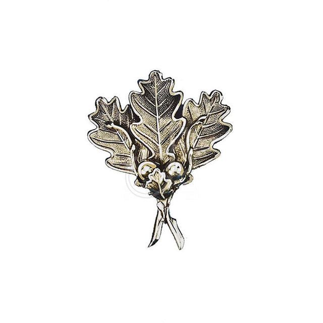 F.c. Fronde Argentate X Zanne Cinghiale 326-2