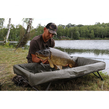 Fox - Carpmaster Culle