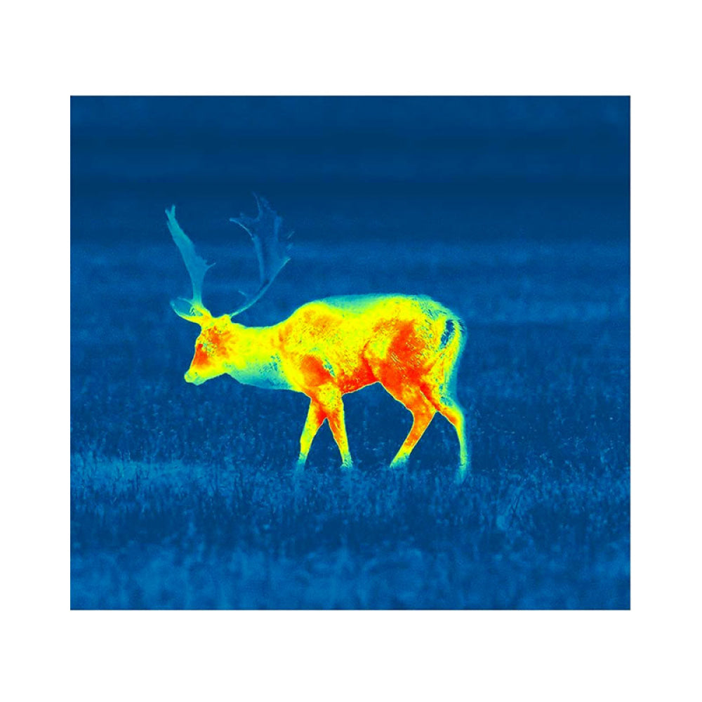 Visore Termico - Pulsar Helion 2 Xq38F 3-12X38