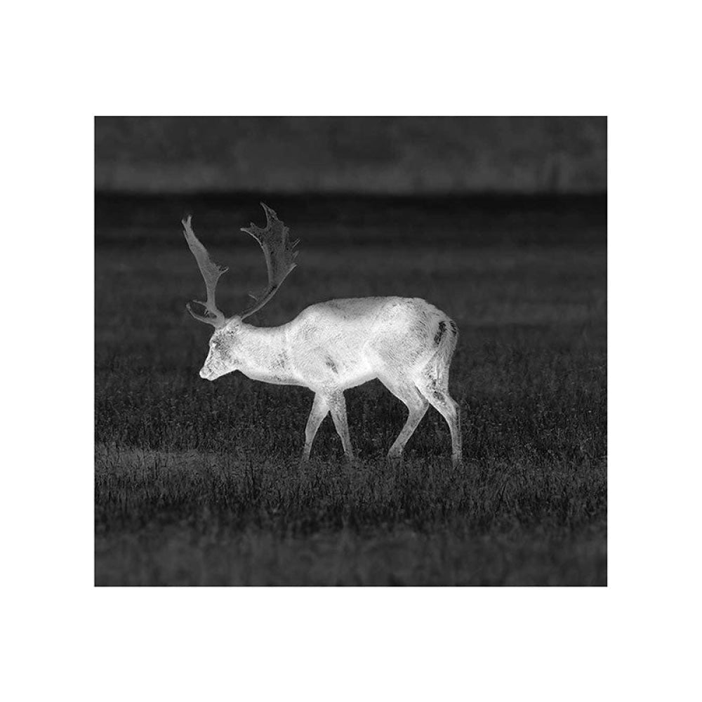 Visore Termico - Pulsar Helion 2 Xq38F 3-12X38