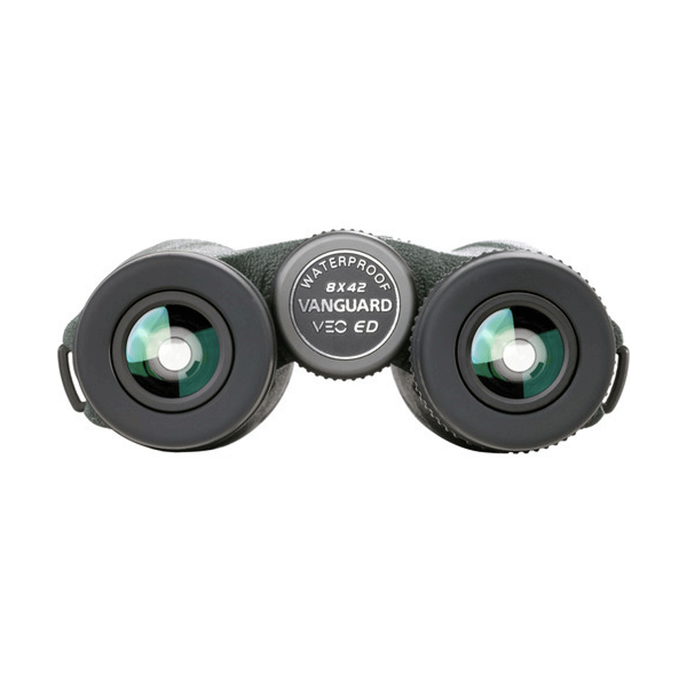 BINOCOLO - VANGUARD - VEO ED 8420 8x42