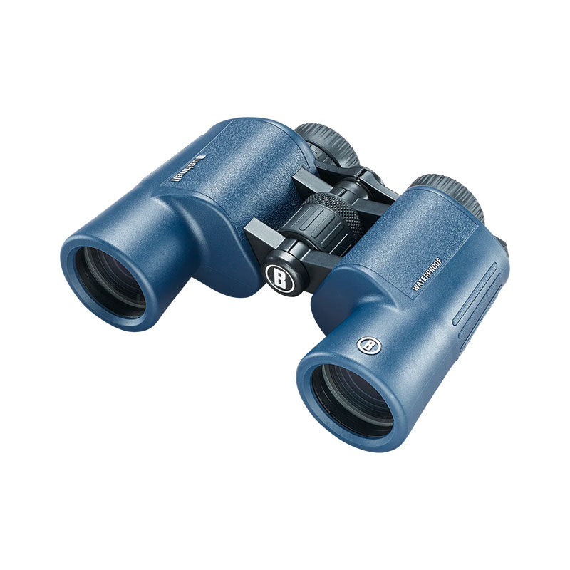 a93eda5a-256a-438c-bb38-758a70d48931