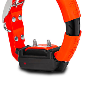 1e03e8e8-d18e-432d-a333-e98cea19d133