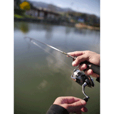 12ca0838-1ede-4bbf-8cc4-876602c18417