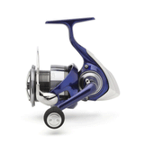 MULINELLO - DAIWA - 24 TDR 4012QD MATCH & FEEDER