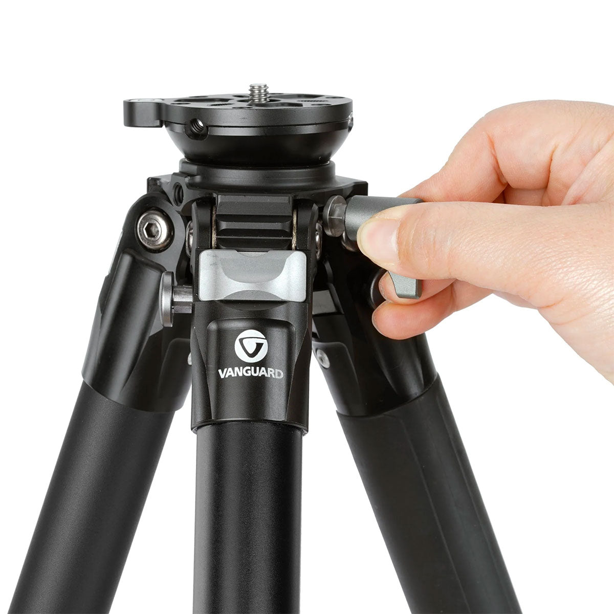 e3987b94-be9f-43bf-b4b8-ba3b5fb8622c