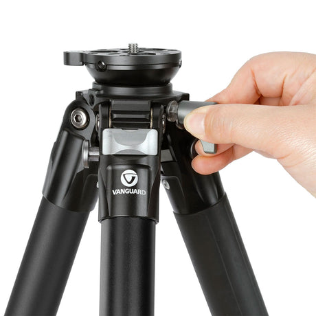 e3987b94-be9f-43bf-b4b8-ba3b5fb8622c