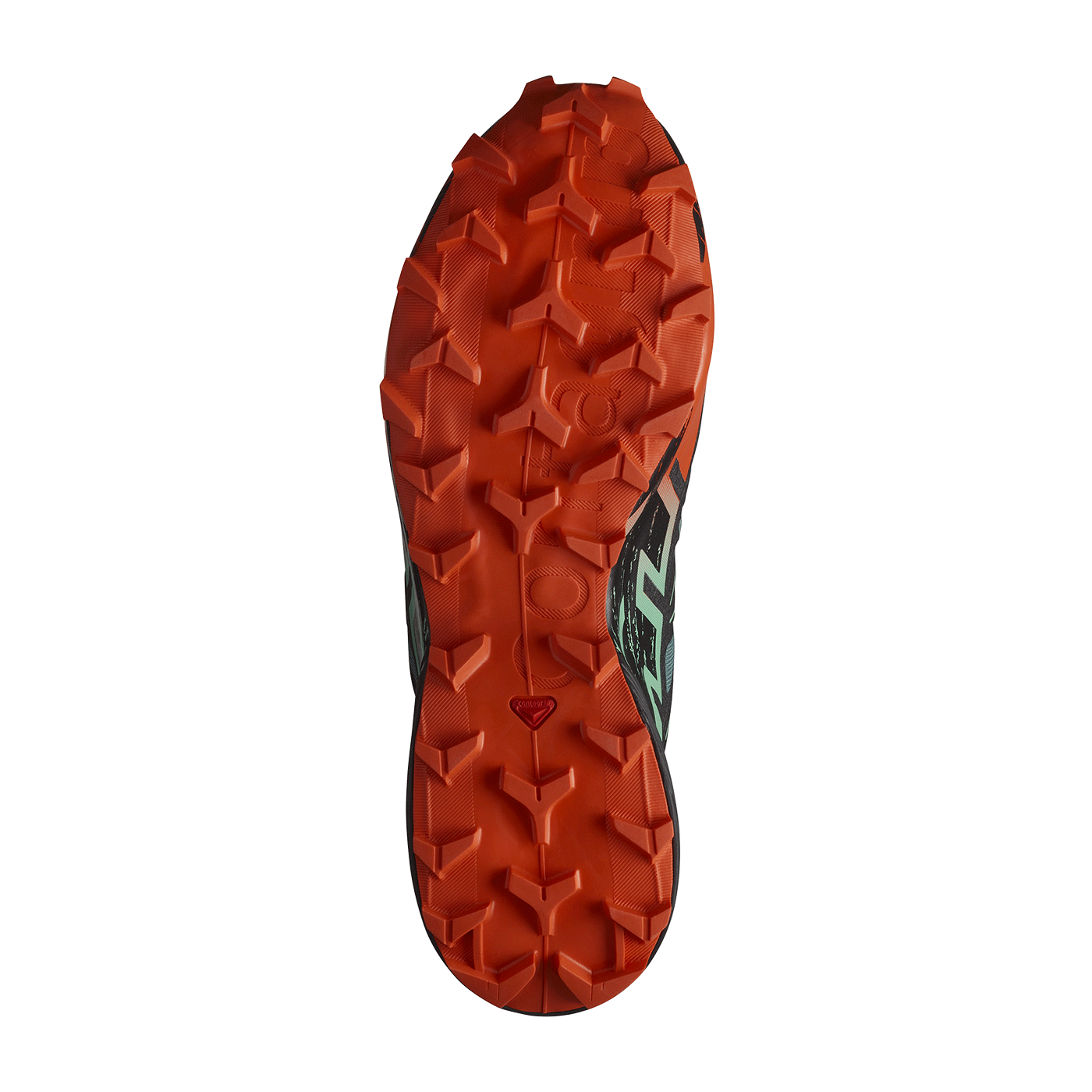 SALOMON - UOMO - SPEEDCROSS 6 GTX North Atlantic / Black / Cherry Tomato