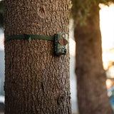 b8c2bfae-6449-4afa-9b6f-1c57ccae3511