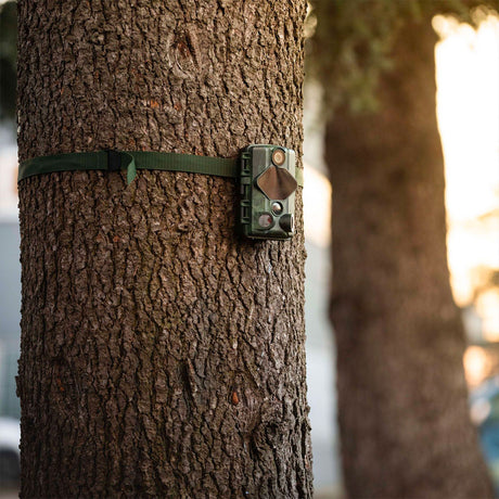 b8c2bfae-6449-4afa-9b6f-1c57ccae3511