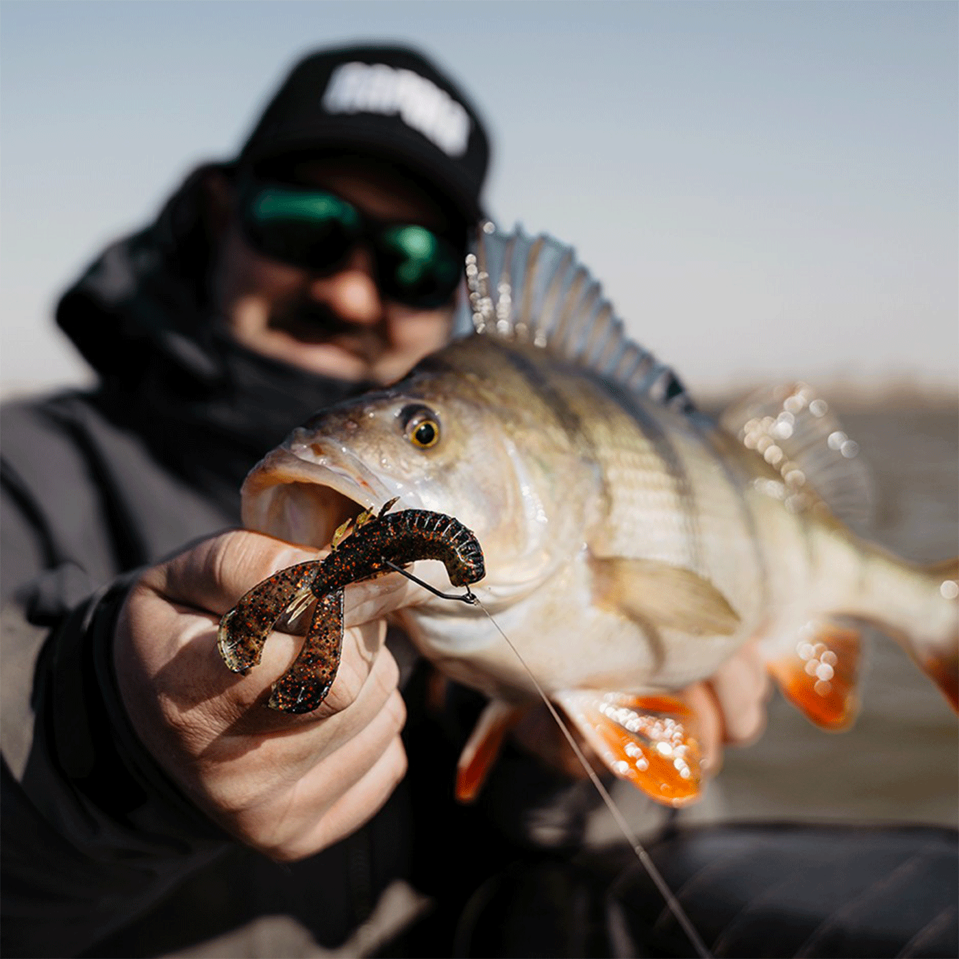 RAPALA - CRUSHCITY™ CUSTOMS "CLEANUP CRAW™" 3.5"/8.8cm | 7 pcs | Green Pumpkin Chartreuse Pepper