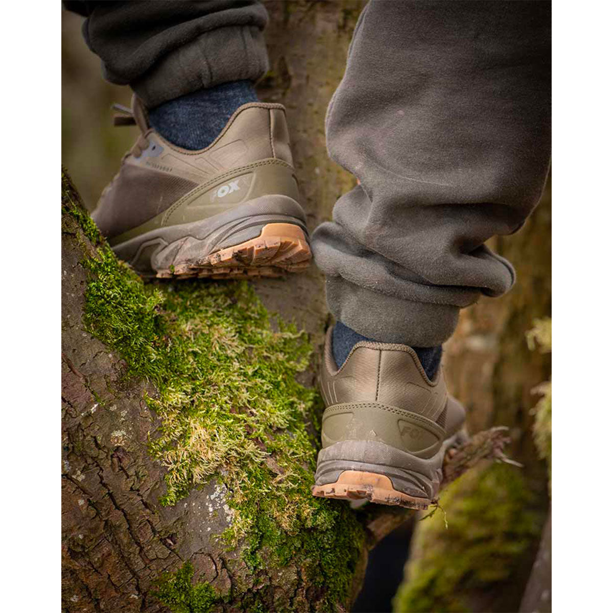 SCARPONI - FOX - EXPLORER TRAINER Khaki